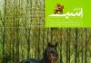 مجله دنیای اسب شماره 36
