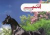 مجله دنیای اسب شماره 31