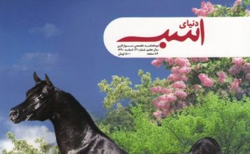 مجله دنیای اسب شماره 31