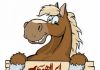 در باره روانشناسی اسب_ قسمت اول