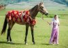 اصطلاحات « پوشش آلات و زیورآلات » اسب ترکمن (1)
