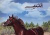 مجله دنیای اسب شماره28