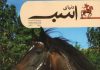 مجله دنیای اسب شماره 11