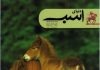مجله دنیای اسب شماره 16
