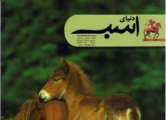 مجله دنیای اسب شماره 16