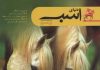 مجله دنیای اسب شماره 13