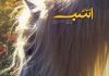 مجله دنیای اسب شماره 23
