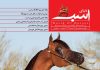 مجله دنیای اسب شماره 34