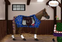 بازی تزئین و آماده کردن اسب