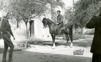نگاهی کوتاه به تاریخ اسب دوانی