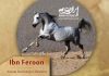 سیلمی عرب ” ابن فرعون”