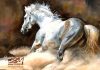 شعر اسب زیبای سرکش مغرور