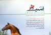 مجله دنیای اسب شماره 33