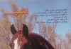 مجله دنیای اسب شماره 22