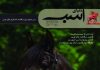 مجله دنیای اسب شماره 14
