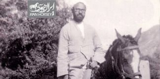 خاطره ای از سوارکاری شهید مطهری