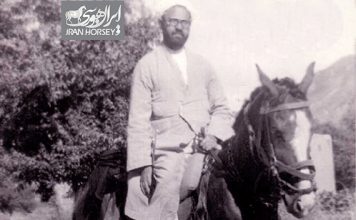 خاطره ای از سوارکاری شهید مطهری