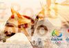 ورزشکاری که برای نجات جان اسبش از المپیک ریو انصراف داد!