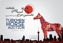 گزارش ویدئویی نخستین حراج اسب ترکمن پایتخت