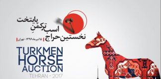 گزارش ویدئویی نخستین حراج اسب ترکمن پایتخت