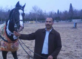 باشگاه سوارکاری تابران طوس مشهد