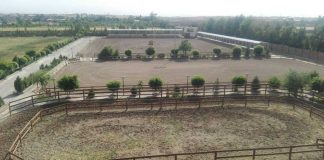 باشگاه سوارکاری ملی مشهد