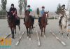 باشگاه سوارکاری افق سبز البرز
