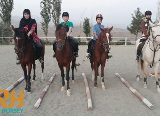 باشگاه سوارکاری افق سبز البرز