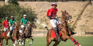 برشی از گفتگو با اقای امیررضا بهبدی