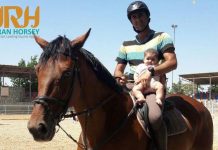 برشی از گفتگو با اقای هومان جلالی