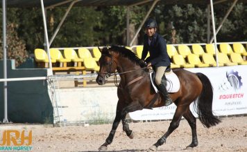 برشی از گفتگو با اقای محمدرضا طراحیان