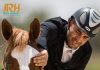 بعضی ها بعد از زمین خوردن با اکراه به روی زین برمی گردند، برشی از گفتگو با مجید شریفی