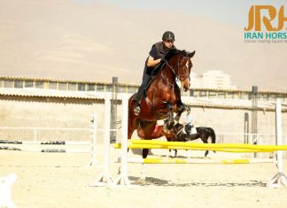 برشی از گفتگو با اقای محمود امیری