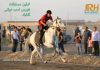 نتایج اولین مسابقات کورس اسب دوانی گناباد