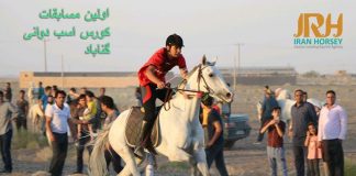 نتایج اولین مسابقات کورس اسب دوانی گناباد