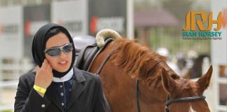 از سوارکاری آزاد تا سوارکار حرفه ای در برشی از گفتگو با فائزه غروی