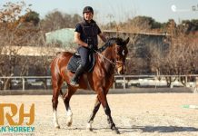 برشی از گفتگو با اقای محمود امیری