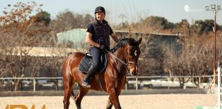 برشی از گفتگو با اقای محمود امیری