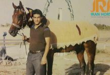 برشی از گفتگو با اقای امیر کلانتری