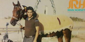 برشی از گفتگو با اقای امیر کلانتری