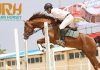 دوازدهمین دوره از مسابقات پرش با اسب هيات سواركاري خراسان رضوي برگزار شد