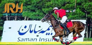 برشی از گفتگو با اقای امیررضا بهبدی