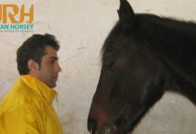 برشی از گفتگو با اقای احسان ترکی