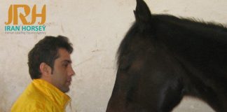 برشی از گفتگو با اقای احسان ترکی