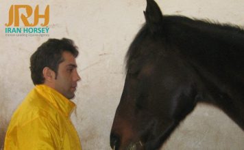 برشی از گفتگو با اقای احسان ترکی