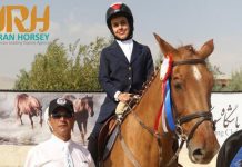 برشی از گفتگو با اقای همایون وجدانی