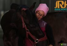 برشی از گفتگو با خانم فرناز هاشمی