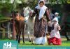 گزارش تصویری جشنواره اسب کاسپین