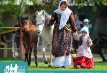 گزارش تصویری جشنواره اسب کاسپین