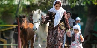 گزارش تصویری جشنواره اسب کاسپین